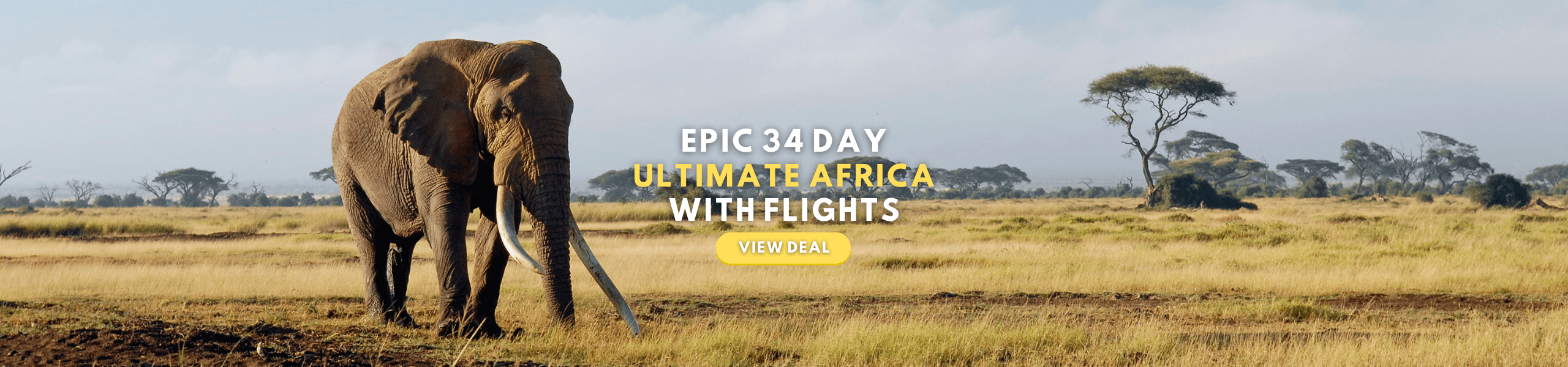 34 Day Ultimate Africa Safari With Flights